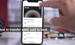 how to transfer apple cash to bank